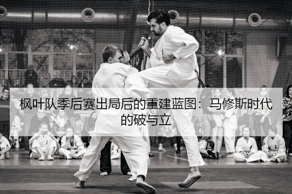 feng-ye-dui-ji-hou-sai-chu-ju-hou-de-chong-jian-lan-tu-ma-xiu-si-shi-dai-de-po-yu-li-2-259.jpg